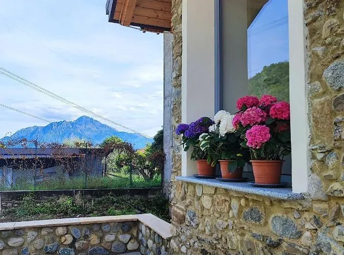 Villa Olia House